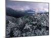 Snow Coats the Boreal Forest on Mt. Lafayette, White Mountains, New Hampshire, USA-Jerry & Marcy Monkman-Mounted Premium Photographic Print
