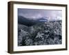 Snow Coats the Boreal Forest on Mt. Lafayette, White Mountains, New Hampshire, USA-Jerry & Marcy Monkman-Framed Photographic Print