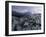 Snow Coats the Boreal Forest on Mt. Lafayette, White Mountains, New Hampshire, USA-Jerry & Marcy Monkman-Framed Photographic Print