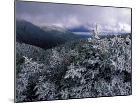 Snow Coats the Boreal Forest on Mt. Lafayette, White Mountains, New Hampshire, USA-Jerry & Marcy Monkman-Mounted Photographic Print