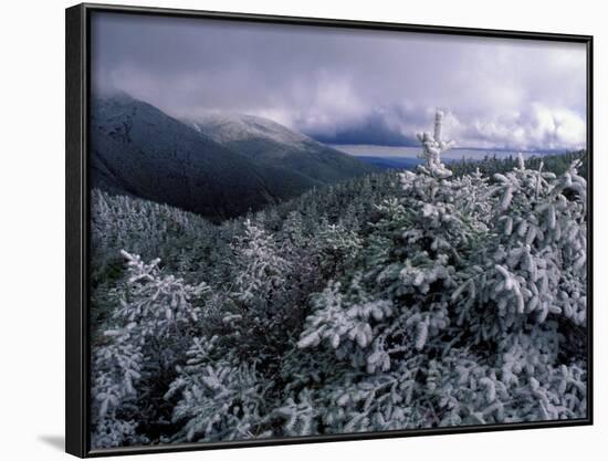 Snow Coats the Boreal Forest on Mt. Lafayette, White Mountains, New Hampshire, USA-Jerry & Marcy Monkman-Framed Photographic Print