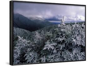 Snow Coats the Boreal Forest on Mt. Lafayette, White Mountains, New Hampshire, USA-Jerry & Marcy Monkman-Framed Photographic Print