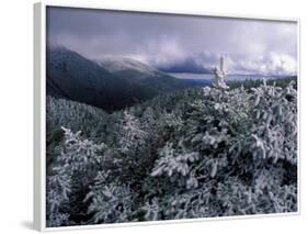 Snow Coats the Boreal Forest on Mt. Lafayette, White Mountains, New Hampshire, USA-Jerry & Marcy Monkman-Framed Photographic Print