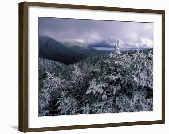 Snow Coats the Boreal Forest on Mt. Lafayette, White Mountains, New Hampshire, USA-Jerry & Marcy Monkman-Framed Photographic Print