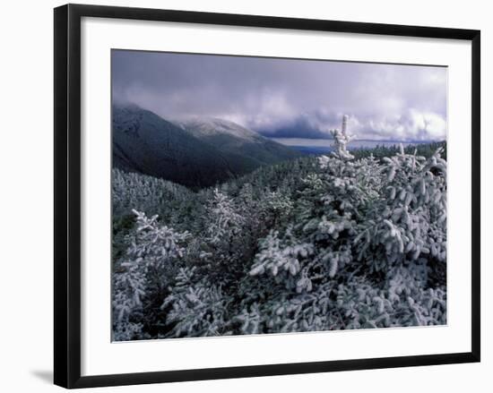 Snow Coats the Boreal Forest on Mt. Lafayette, White Mountains, New Hampshire, USA-Jerry & Marcy Monkman-Framed Photographic Print