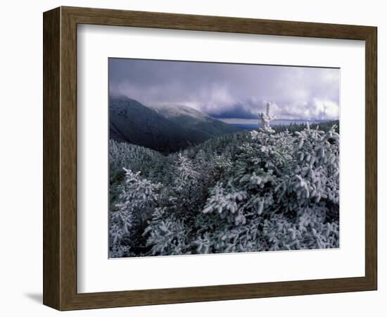 Snow Coats the Boreal Forest on Mt. Lafayette, White Mountains, New Hampshire, USA-Jerry & Marcy Monkman-Framed Photographic Print