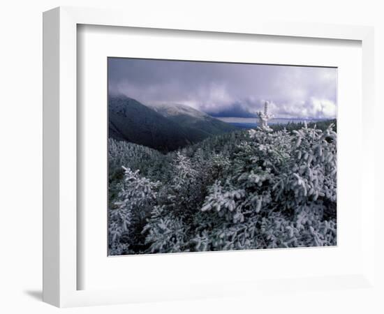 Snow Coats the Boreal Forest on Mt. Lafayette, White Mountains, New Hampshire, USA-Jerry & Marcy Monkman-Framed Photographic Print