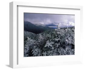 Snow Coats the Boreal Forest on Mt. Lafayette, White Mountains, New Hampshire, USA-Jerry & Marcy Monkman-Framed Photographic Print