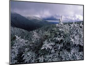Snow Coats the Boreal Forest on Mt. Lafayette, White Mountains, New Hampshire, USA-Jerry & Marcy Monkman-Mounted Photographic Print