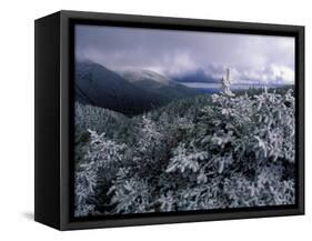 Snow Coats the Boreal Forest on Mt. Lafayette, White Mountains, New Hampshire, USA-Jerry & Marcy Monkman-Framed Stretched Canvas