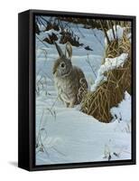 Snow Cover Cottontail-Wilhelm Goebel-Framed Stretched Canvas