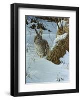 Snow Cover Cottontail-Wilhelm Goebel-Framed Premium Giclee Print