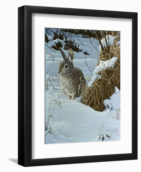 Snow Cover Cottontail-Wilhelm Goebel-Framed Premium Giclee Print