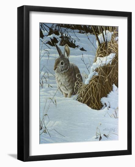 Snow Cover Cottontail-Wilhelm Goebel-Framed Giclee Print