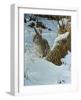 Snow Cover Cottontail-Wilhelm Goebel-Framed Giclee Print