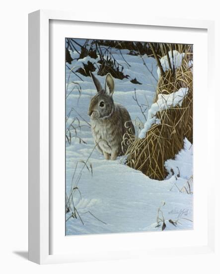 Snow Cover Cottontail-Wilhelm Goebel-Framed Giclee Print