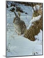 Snow Cover Cottontail-Wilhelm Goebel-Mounted Giclee Print