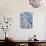 Snow Covered Aspen (Populus Tremula)-Bjorn Svensson-Photographic Print displayed on a wall