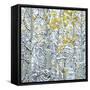 Snow covered aspen trees, Colorado, USA-Panoramic Images-Framed Stretched Canvas