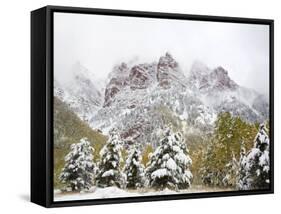 Snow Covered Aspens and Firs, Maroon Bells, Colorado, USA-Terry Eggers-Framed Stretched Canvas