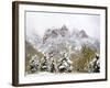 Snow Covered Aspens and Firs, Maroon Bells, Colorado, USA-Terry Eggers-Framed Photographic Print