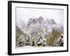 Snow Covered Aspens and Firs, Maroon Bells, Colorado, USA-Terry Eggers-Framed Photographic Print