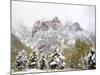 Snow Covered Aspens and Firs, Maroon Bells, Colorado, USA-Terry Eggers-Mounted Photographic Print