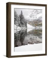 Snow Covered Aspens, Maroon Bells, Colorado, USA-Terry Eggers-Framed Photographic Print