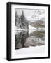 Snow Covered Aspens, Maroon Bells, Colorado, USA-Terry Eggers-Framed Photographic Print