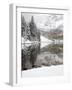 Snow Covered Aspens, Maroon Bells, Colorado, USA-Terry Eggers-Framed Photographic Print