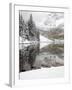 Snow Covered Aspens, Maroon Bells, Colorado, USA-Terry Eggers-Framed Photographic Print