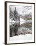 Snow Covered Aspens, Maroon Bells, Colorado, USA-Terry Eggers-Framed Photographic Print