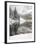 Snow Covered Aspens, Maroon Bells, Colorado, USA-Terry Eggers-Framed Photographic Print