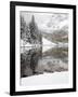 Snow Covered Aspens, Maroon Bells, Colorado, USA-Terry Eggers-Framed Photographic Print