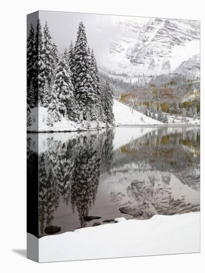 Snow Covered Aspens, Maroon Bells, Colorado, USA-Terry Eggers-Stretched Canvas