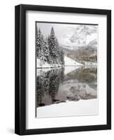 Snow Covered Aspens, Maroon Bells, Colorado, USA-Terry Eggers-Framed Photographic Print