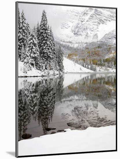 Snow Covered Aspens, Maroon Bells, Colorado, USA-Terry Eggers-Mounted Photographic Print