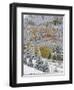 Snow Covered Aspens, Maroon Bells, Colorado, USA-Terry Eggers-Framed Photographic Print