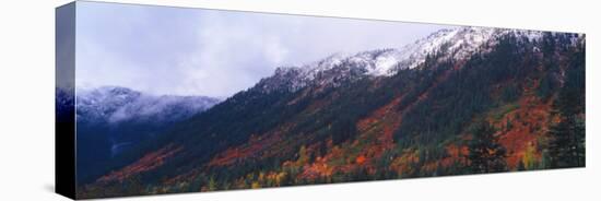 Snow Covered Autumn Colors of Stevens Pass, Mt. Baker National Forest, Washington, USA-Terry Eggers-Stretched Canvas
