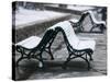 Snow Covered Benches, Place Victor Hugo, Grenoble, Isere, French Alps, France-Walter Bibikow-Stretched Canvas