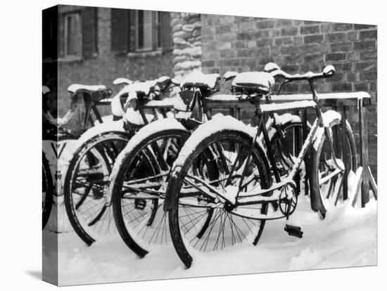 Snow-Covered Bicycles-Fred Musto-Stretched Canvas