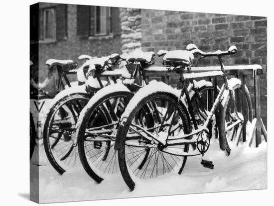 Snow-Covered Bicycles-Fred Musto-Stretched Canvas