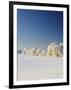 Snow-Covered Birch Trees, Schauinsland Mountain, Black Forest, Baden Wurttemberg, Germany, Europe-Marcus Lange-Framed Photographic Print