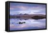 Snow Covered Black Mount Reflected in a Lochan, Rannoch Moor, Highland, Scotland. Winter (November)-Adam Burton-Framed Stretched Canvas