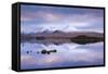 Snow Covered Black Mount Reflected in a Lochan, Rannoch Moor, Highland, Scotland. Winter (November)-Adam Burton-Framed Stretched Canvas