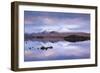 Snow Covered Black Mount Reflected in a Lochan, Rannoch Moor, Highland, Scotland. Winter (November)-Adam Burton-Framed Photographic Print