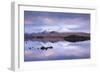 Snow Covered Black Mount Reflected in a Lochan, Rannoch Moor, Highland, Scotland. Winter (November)-Adam Burton-Framed Photographic Print