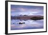 Snow Covered Black Mount Reflected in a Lochan, Rannoch Moor, Highland, Scotland. Winter (November)-Adam Burton-Framed Photographic Print