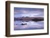 Snow Covered Black Mount Reflected in a Lochan, Rannoch Moor, Highland, Scotland. Winter (November)-Adam Burton-Framed Photographic Print