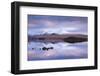 Snow Covered Black Mount Reflected in a Lochan, Rannoch Moor, Highland, Scotland. Winter (November)-Adam Burton-Framed Photographic Print